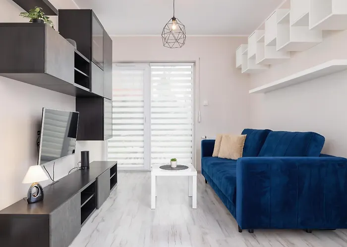 Ground Floor With Garden And Free Garage In By Renters * Sosnowiec